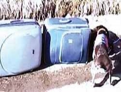 10 kilo esrarla yakalandı