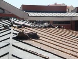 Hırsızlar okullu oldu