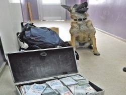 Sahte paraya burun darbesi