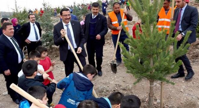 2 bin 23 ağaç toprakla buluştu