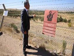 Çetintaya: Kuzeye ya da doğuya yapılsın