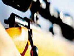 Ankara'da kanas mermisi yakalandı