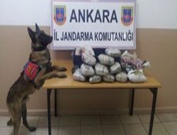 ‘Cusur'dan kaçmadı