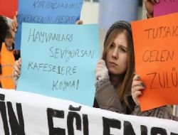 Özgür bırakın