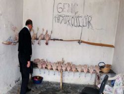 Tavukkondu'ya 6 bin 650 TL ceza