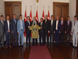 İlk destek Validen
