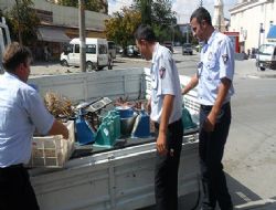 Zabıta göz açtırmıyor