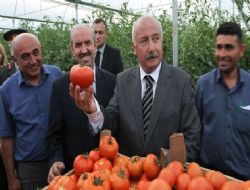 İftar öncesi sera turu