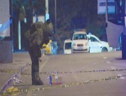 Şüpheli paketten başı kesilmiş güvercin çıktı