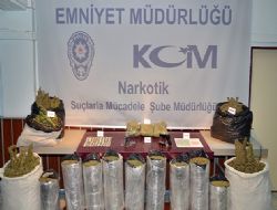 Zehir tacirlerine narkotik kıskacı