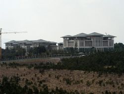 Saray'a 8 dönüm