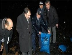 Zehirlenmeler kaçak kömürden mi