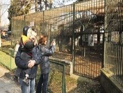 Girişler ücretsiz