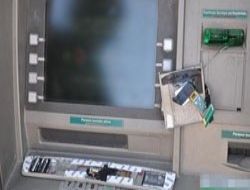 Papağan soygununu polis durdurdu