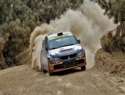 Rallide heyecan dindi