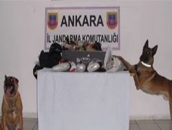 Cesur'la Ateş affetmedi