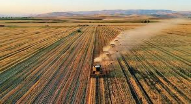 4,5 Milyar Liralık Tarımsal Destek Ödemesi Yapılıyor