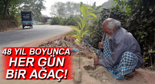 48 sene her gün bir tane ağaç dikti