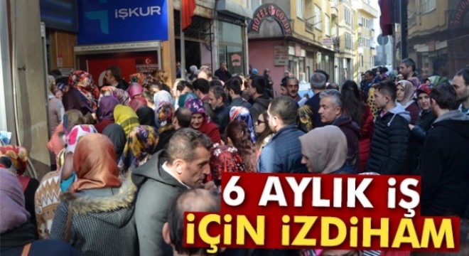 6 aylık iş için izdiham
