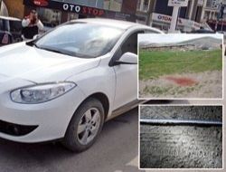 Kiralık arabayla hayvan hırsızlığı