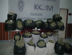 Zehir tacirlerine büyük darbe