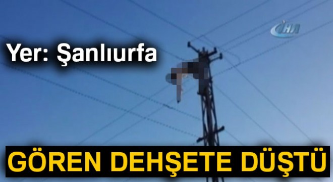 Akıma kapılan işçinin cesedi direkte asılı kaldı