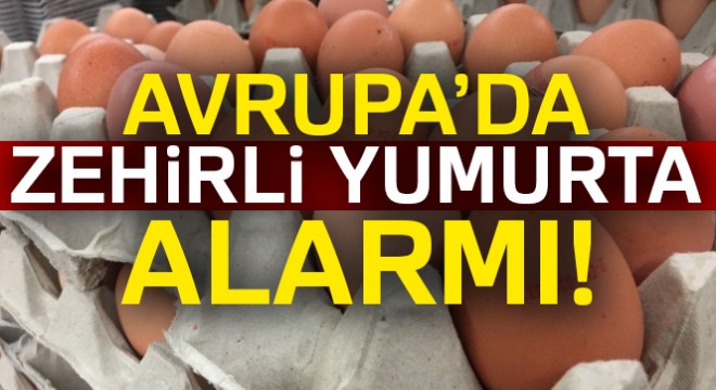 Almanya'da Fipronil alarmı
