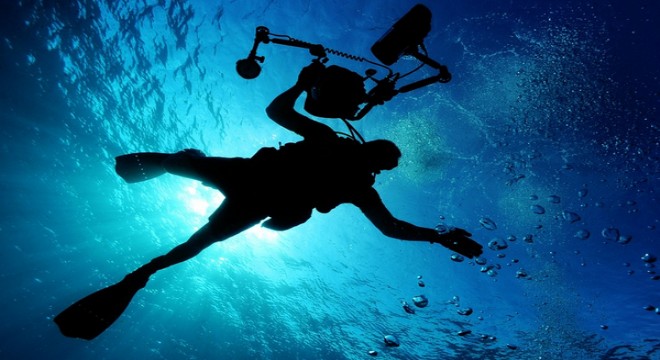 Bakan Bak'tan Şahika Ercümen'e tebrik mesajı