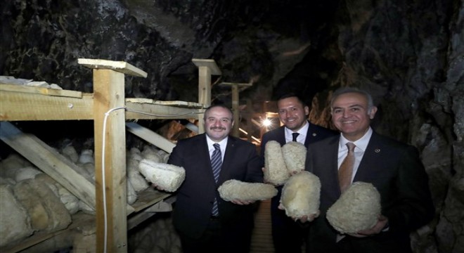 Bakan Varank'tan ‘Türk Rokforu'na inceleme