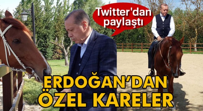 Başdanışmanı, Cumhurbaşkanı Erdoğan'ın ata binme fotoğraflarını paylaştı