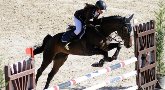 Başkent'te binicilik şöleni
