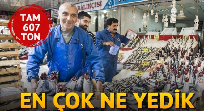 Bir ayda 607 ton palamut yedik
