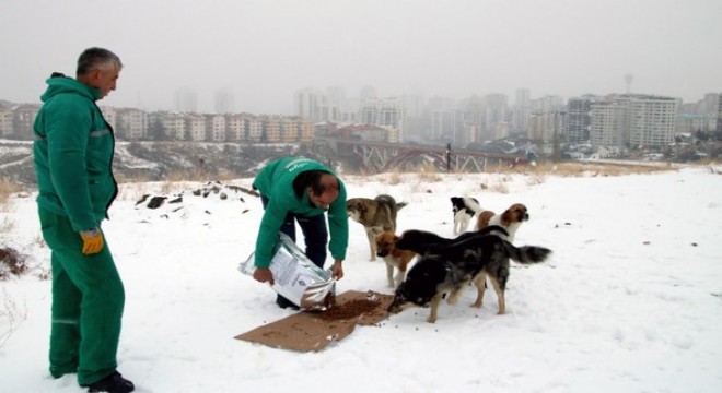 Bir haftada bir ton mama