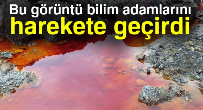 Bu görüntü bilim adamlarını harekete geçirdi