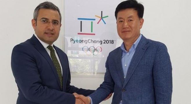 Buz pateninde ikili işbirliği