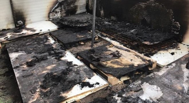 Can dostlarını katlettiler