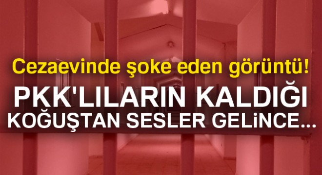 Cezaevinden kaçmaya çalışan PKK'lılar yakalandı