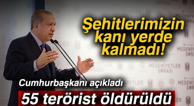 Cumhurbaşkanı Erdoğan: '55 teröristi etkisiz hale getirdik'