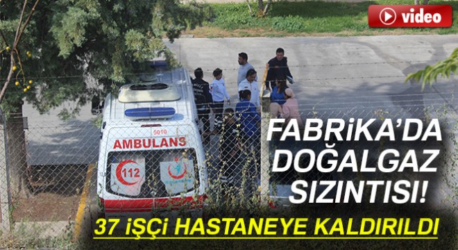 Denizli'deki fabrikada doğalgaz sızıntısı