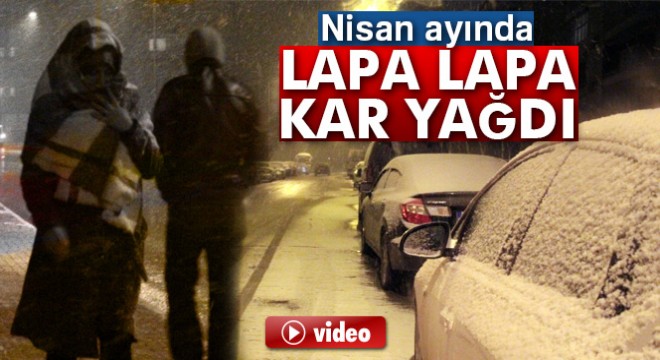 Erzurum'da lapa lapa kar yağdı