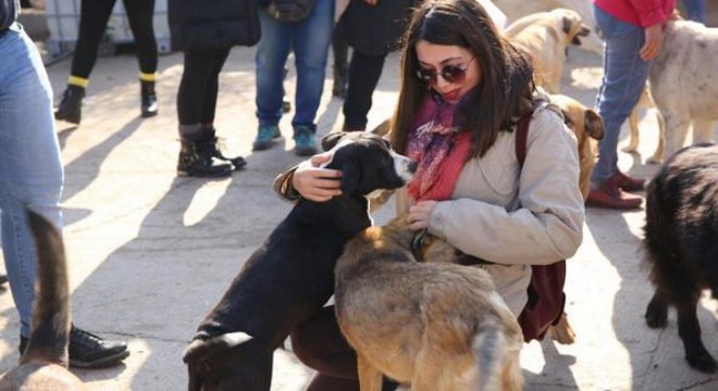 Genç hukukçulardan can dostlara yardım