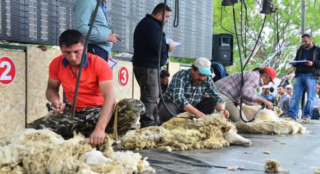 İkinci şampiyona AKM'de