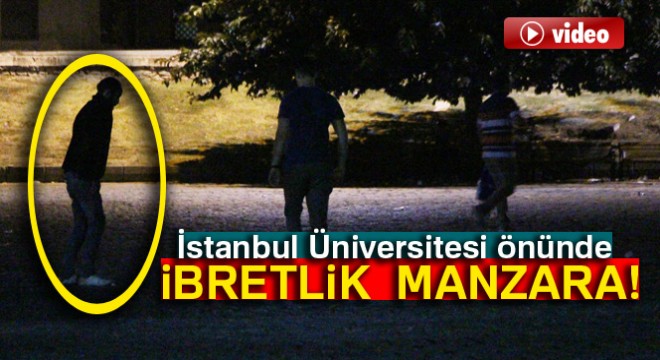 İstanbul Üniversitesi önünde ibretlik 'bonzai' manzarası
