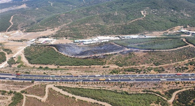 İzmir'deki orman yangını