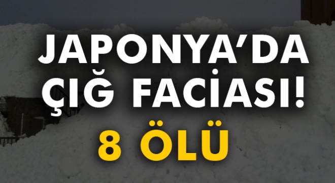 Japonya'da çığ: 8 ölü