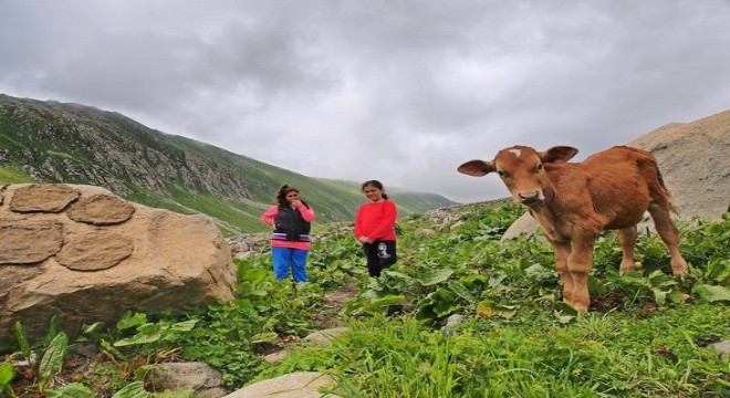 Karadeniz sergisi