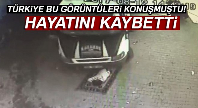 Kilim üzerinde uyurken kamyonetin ezdiği adam hayatını kaybetti