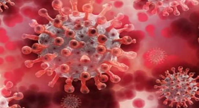Koronavirüs salgınında ölenlerin sayısı 10 bin 177'ye ulaştı