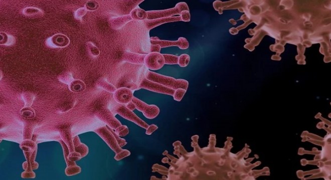 Koronavirüs salgınında ölenlerin sayısı 6 bin 121'e ulaştı