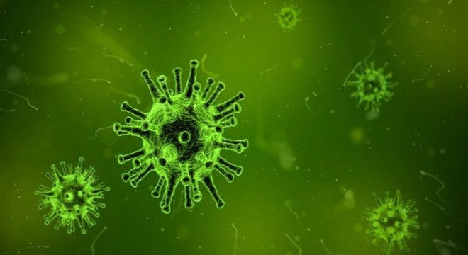 Koronavirüs salgınında ölenlerin sayısı 6 bin 564'e ulaştı